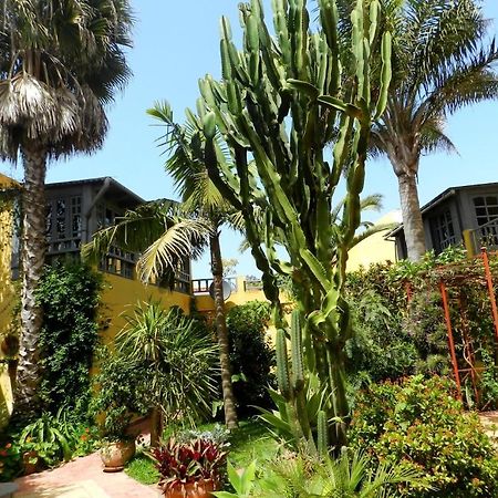 Dar Beldi Bed & Breakfast วาลิเดีย ภายนอก รูปภาพ