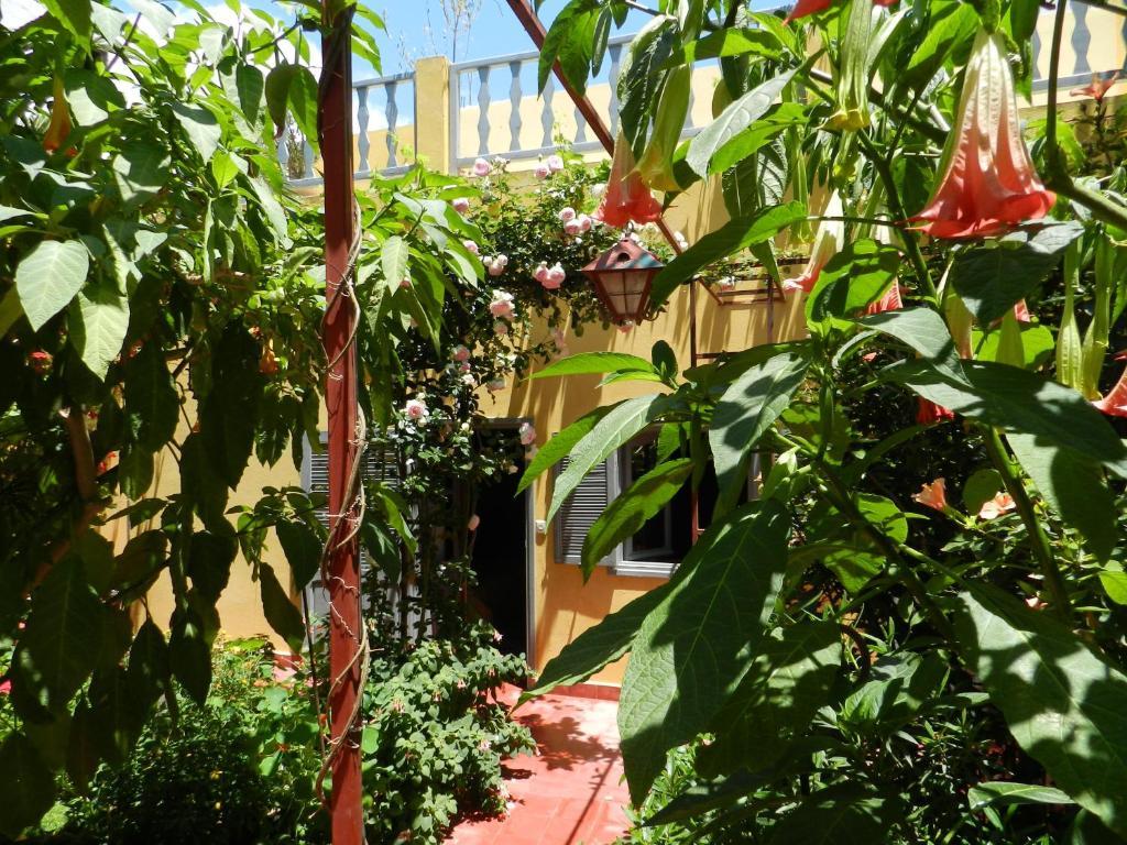 Dar Beldi Bed & Breakfast วาลิเดีย ห้อง รูปภาพ